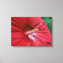 Search for raindrops canvas prints Flower