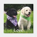 Search for mutt magnets Puppies