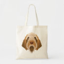 Search for spinone italiano Puppy