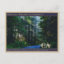 Search for sunbeam postcards Vintage