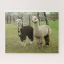 Search for alpaca puzzles Animal