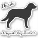Search for chesapeake electronics Chessie