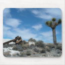 Search for joshua tree electronics Nature