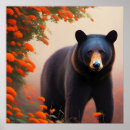 Search for orange bear posters Flowers