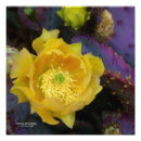 Search for southwest designs posters Cactus