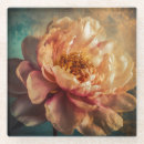Search for ai barware Flower