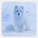 Search for arctic animal stickers North pole