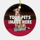 Search for dog mom christmas tree decorations Dogs