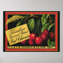 Search for cherry fruit posters Vintage