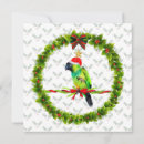 Search for parrot christmas cards Birds