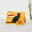 Search for pirate cats cards Pumpkin
