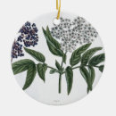 Search for fig christmas tree decorations Botanical