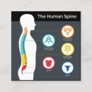 Search for anatomy business cards Chiropractic