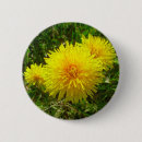 Search for dandelion badges Weed