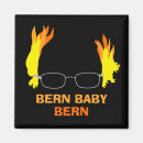 Search for berne magnets Bernie