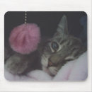 Search for sweet cat electronics Pets