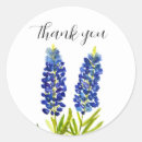 Search for lupine stickers Bluebonnets