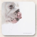 Search for tongue coasters Studio shot