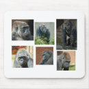Search for gorilla mouse mats Silverback