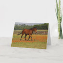Search for bay horse cards Animal