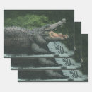 Search for crocodile wrapping paper Zoo animals