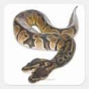 Search for python stickers Scales