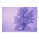 Search for locust tree Large format