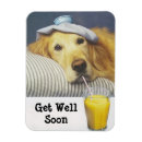 Search for retrievers magnets Puppy