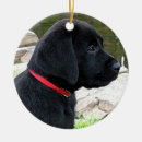 Search for red lab christmas tree decorations Dog lover