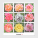 Search for solid stickers Lavender