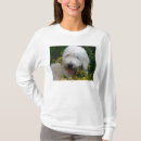 Search for goldendoodle clothing Animal