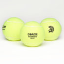 Search for unique tennis balls Team
