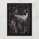 Search for isolate vertical postcards Black