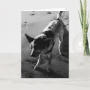 Search for tick cards Dog