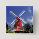 Search for aruba badges Tropical