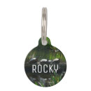 Search for turtle pet supplies Nature