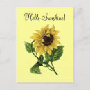 Search for yellow sunflowers postcards Vintage