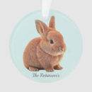 Search for cute bunny rabbit christmas tree decorations Animals