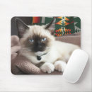 Search for staring mouse mats Pet