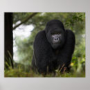 Search for trek art Africa