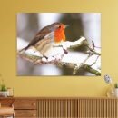 Search for robin canvas prints Snow