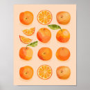 Search for mandarin oranges posters Citrus