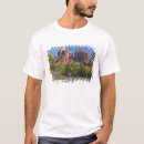 Search for sedona arizona tshirts Landscape