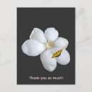 Search for animal prints postcards Nature