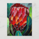 Search for protea postcards Flower