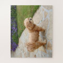 Search for lhasa apso puzzles Dog