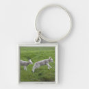 Search for baby lamb key rings Nature
