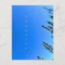 Search for snow tree postcards Sky