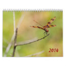 Search for dragonfly calendars Damselfly