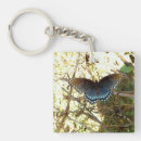 Search for flying bugs key rings Nature